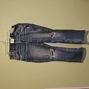 AE - Curvy Straight Jeans Size 18 Short